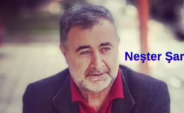 Neşter Şart