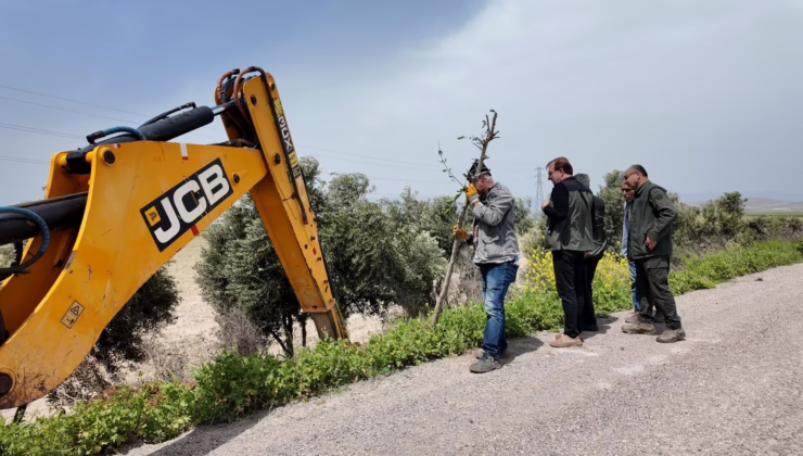 YAYMAN’IN GİRİŞİMLERİYLE HASSA’DA DELİCE ZEYTİNLER EKONOMİYE KAZANDIRILIYOR