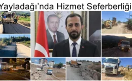 Yayladağı’nda Hizmet Seferberliği
